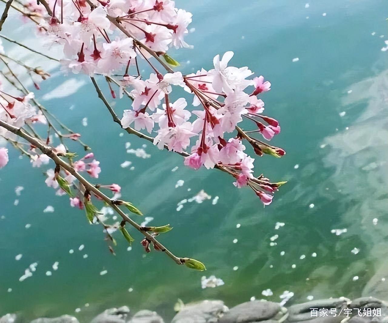 描写春雨朦胧的诗句（十首一犁春雨诗词）