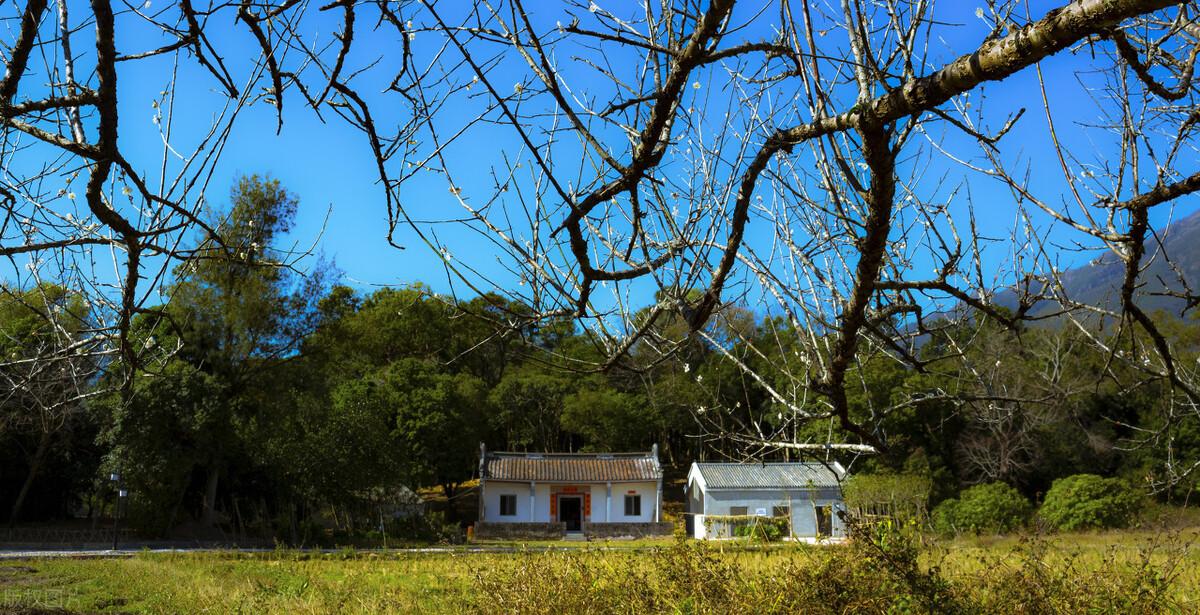 乡村安逸生活唯美诗句（十五首村居诗词）