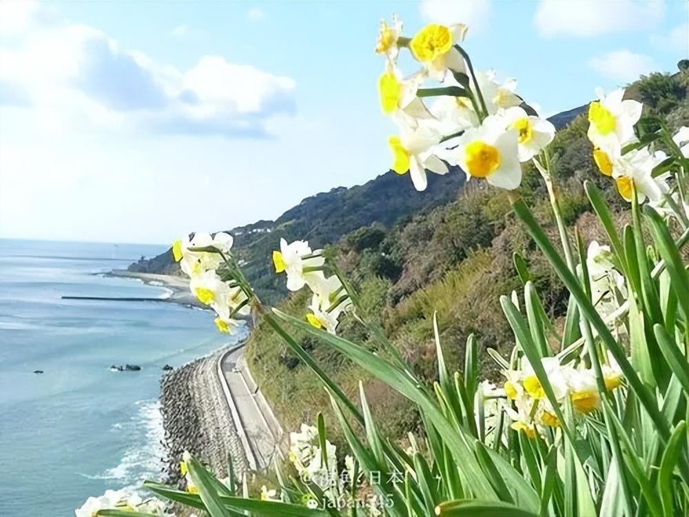 水仙花优美诗词名句（十二首诗词中的水仙）