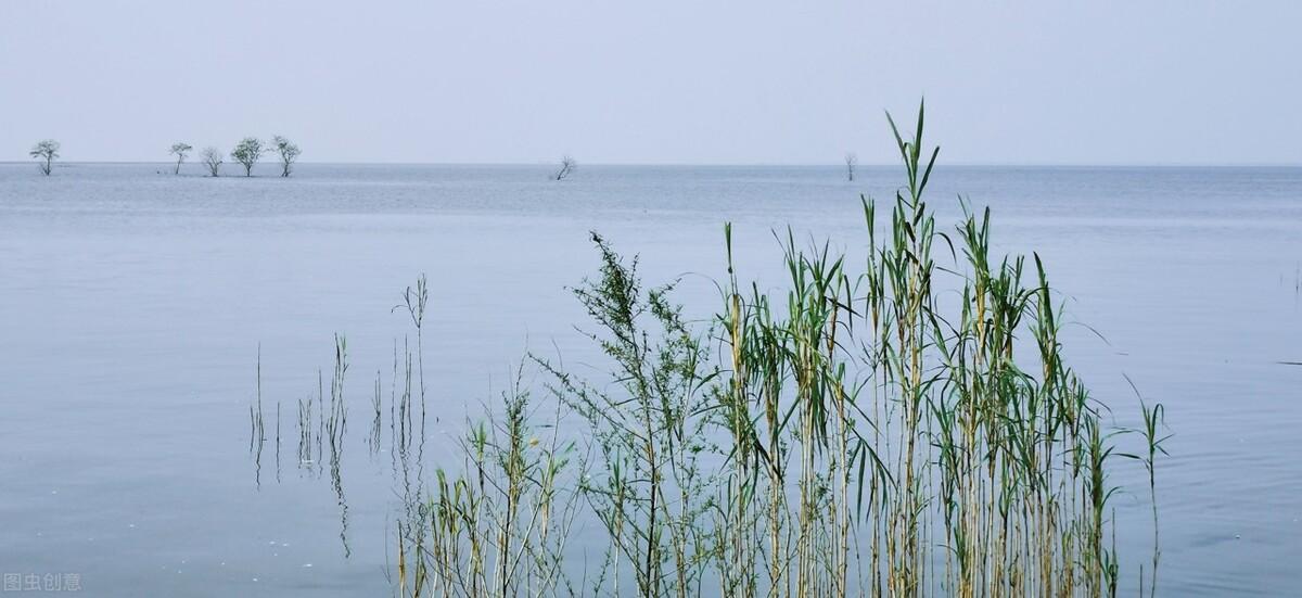 沧浪诗词经典名句（分享十二首沧浪诗词）