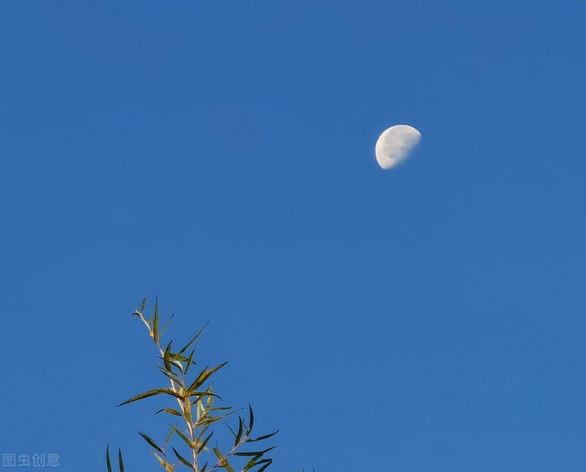 清晨优美诗词名句（精选十首清晨诗词）