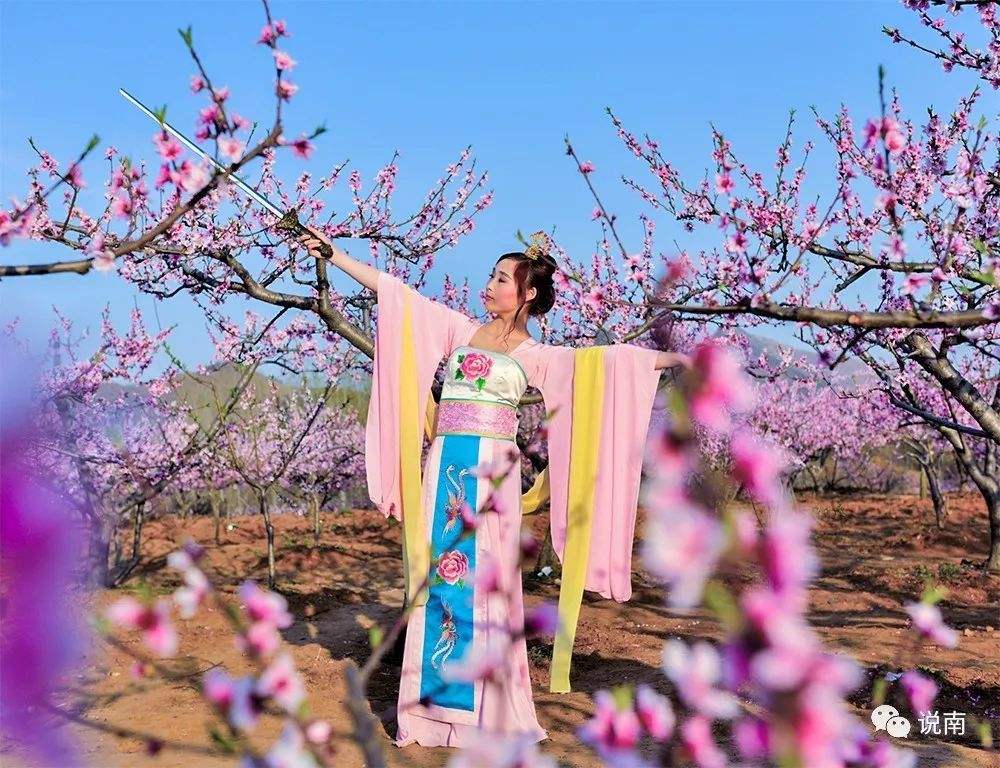 描写桃花夫人唯美诗句（八首桃花夫人诗词）