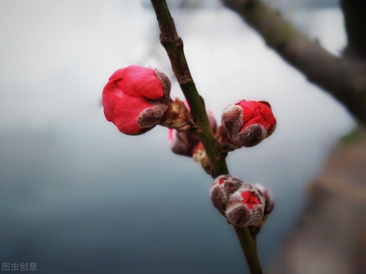 辞旧迎新习俗经典古诗句（七首新年迎春诗词）