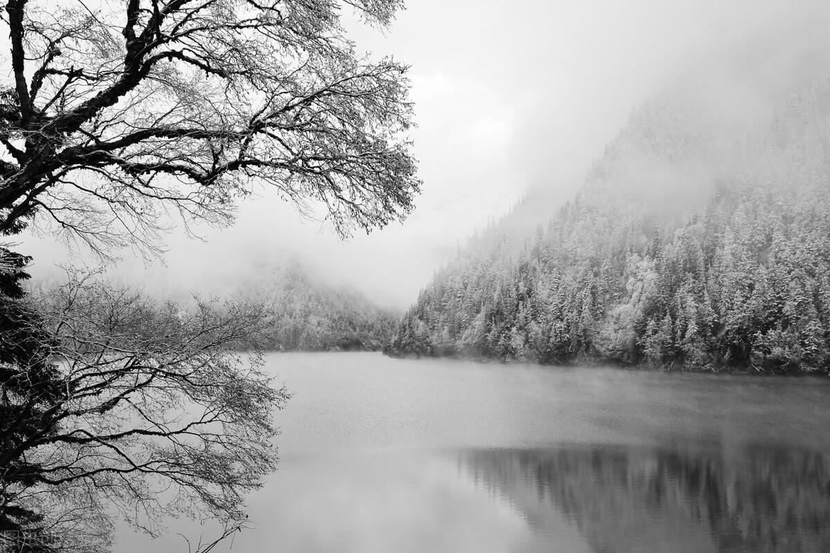 冬宜密雪，有碎玉声（五首优美雪趣诗词）