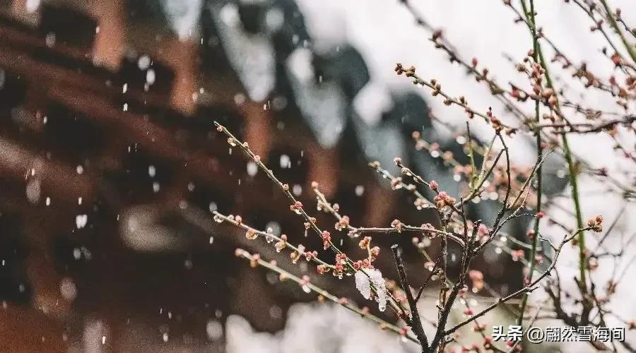 雪花随风飘扬，大地白茫茫一片（25句唯美雪花诗词句）