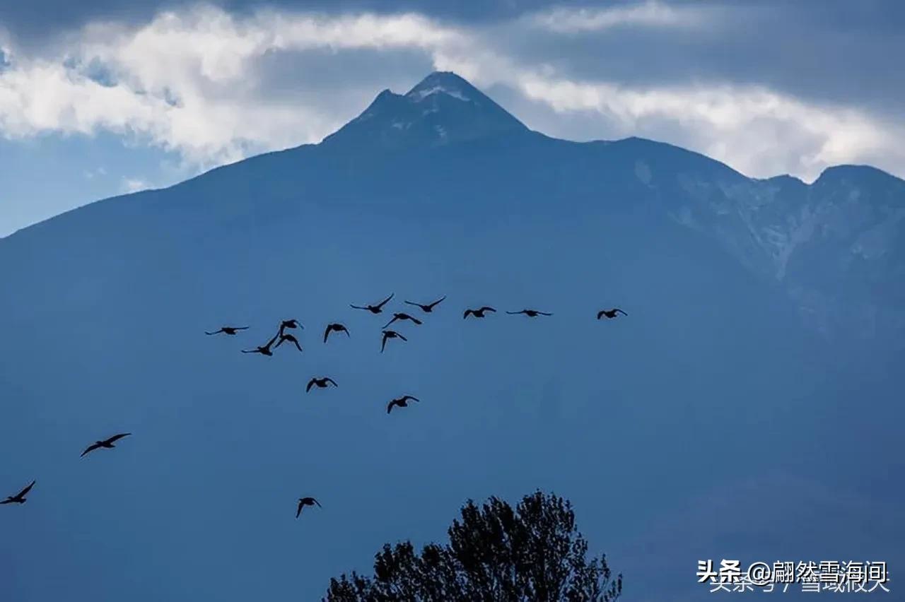 父爱是山，母爱是水（6首感人的父母诗词）