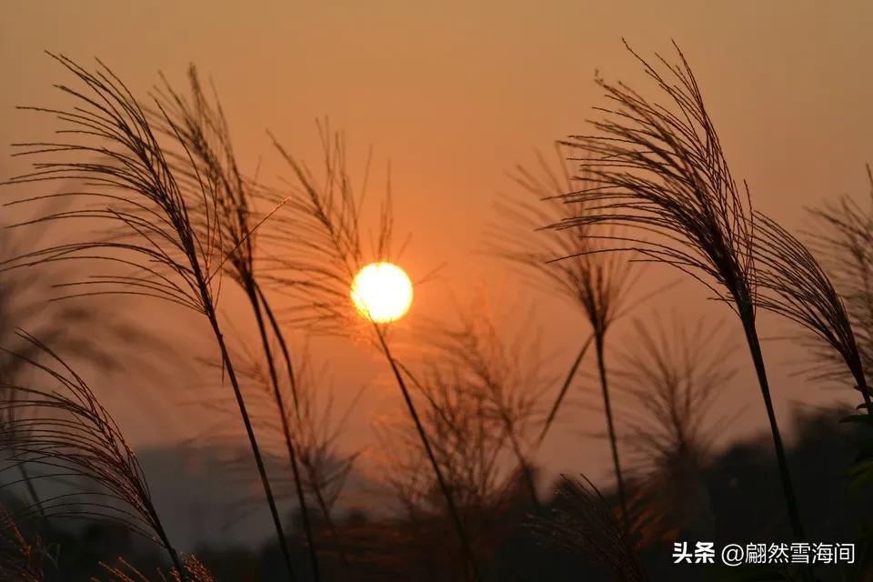 父爱是山，母爱是水（6首感人的父母诗词）