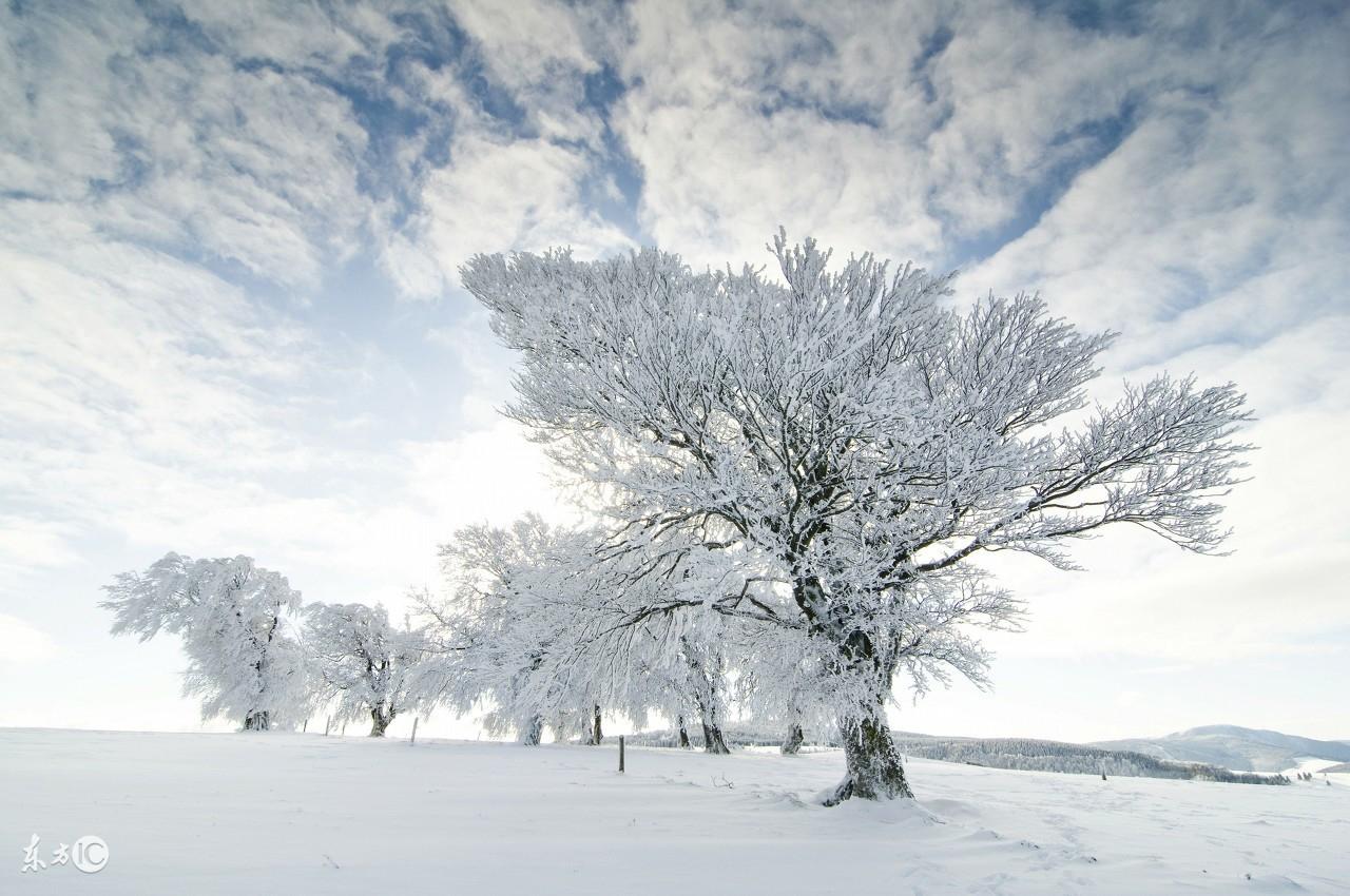 雪景优美诗词摘抄（描写雪景的唯美古诗句）