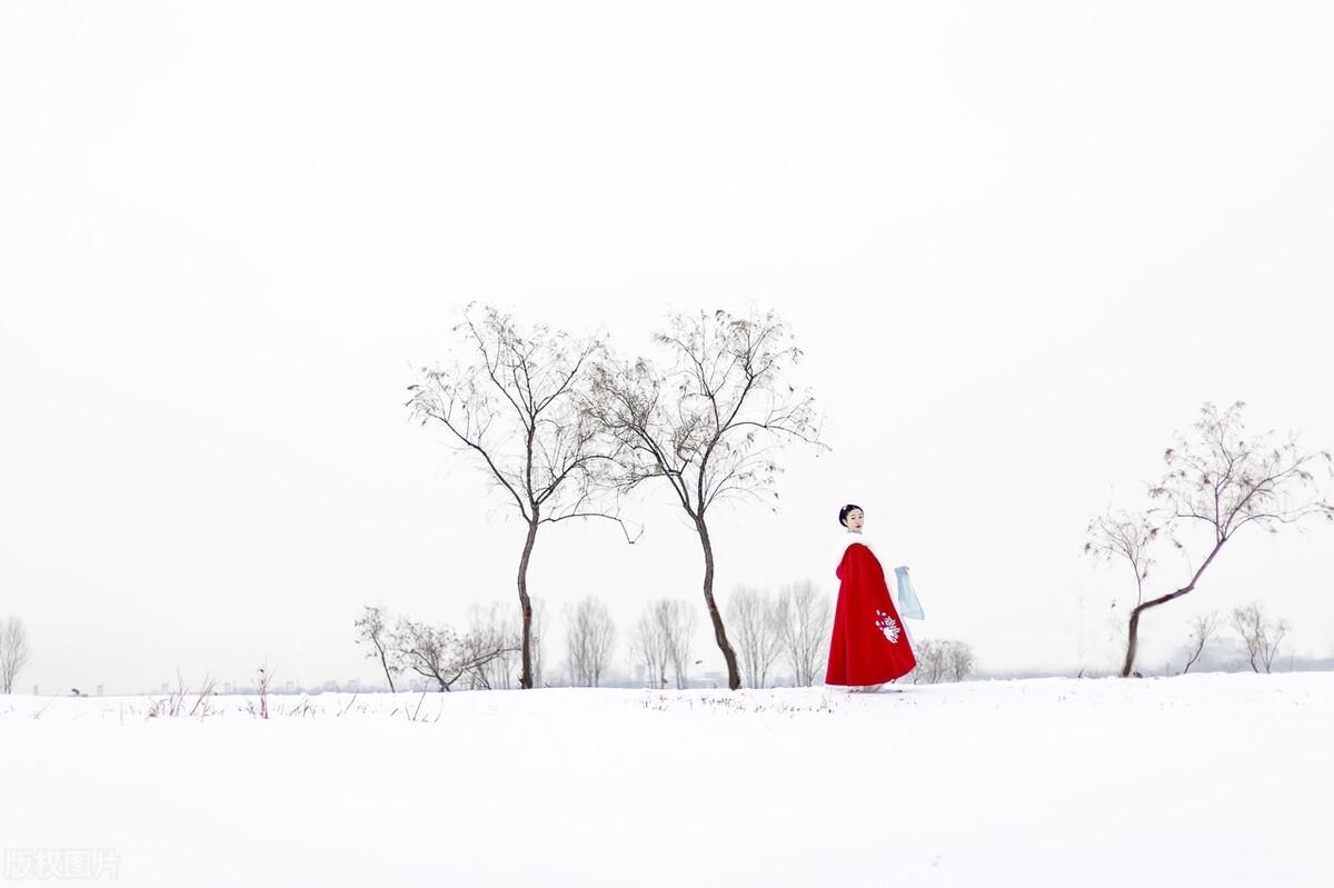 冬雪诗词名句有哪些（四首唯美冬雪诗词）