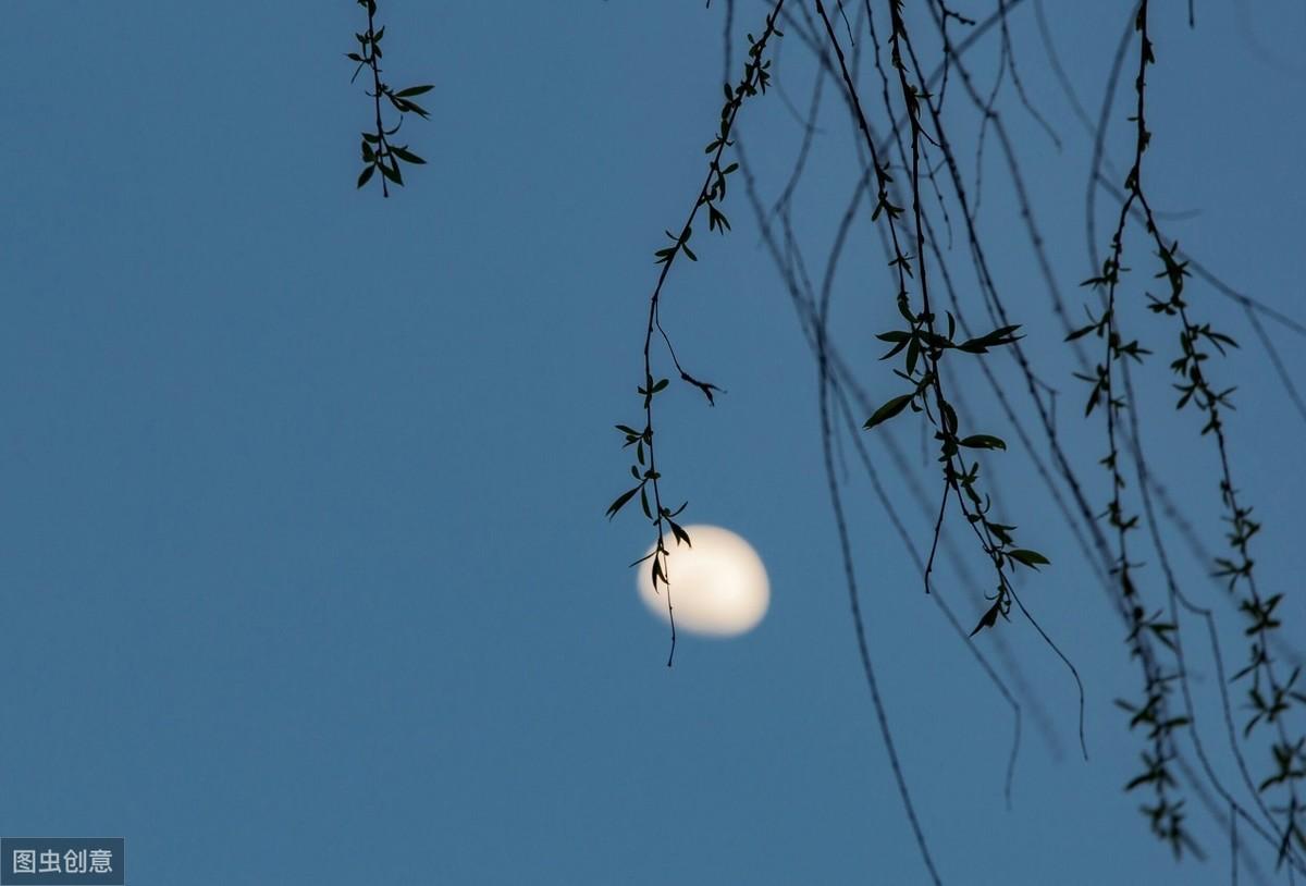 咏柳诗词名句摘抄（九首经典的写柳诗词）