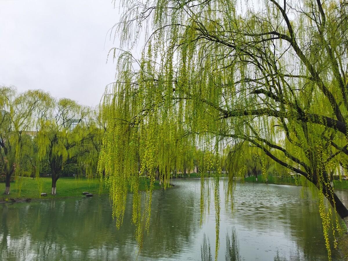 袅袅柳边城，青青陌上桑（6首唯美杨柳古诗）