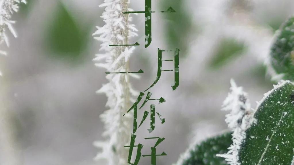 十二月唯美诗词有哪些（冰天雪地，天寒地冻）