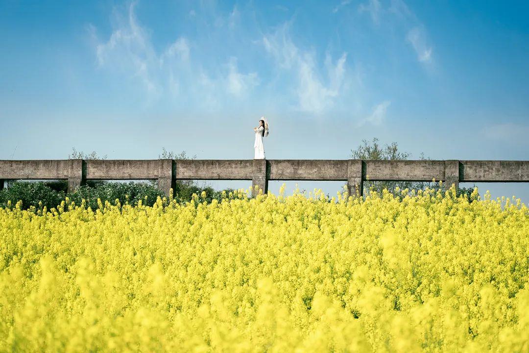 立春七首唯美诗词（愿疫去春来，岁岁花开）