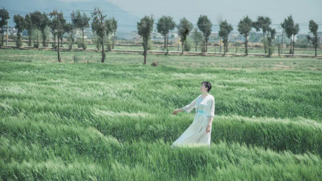 立春七首唯美诗词（愿疫去春来，岁岁花开）