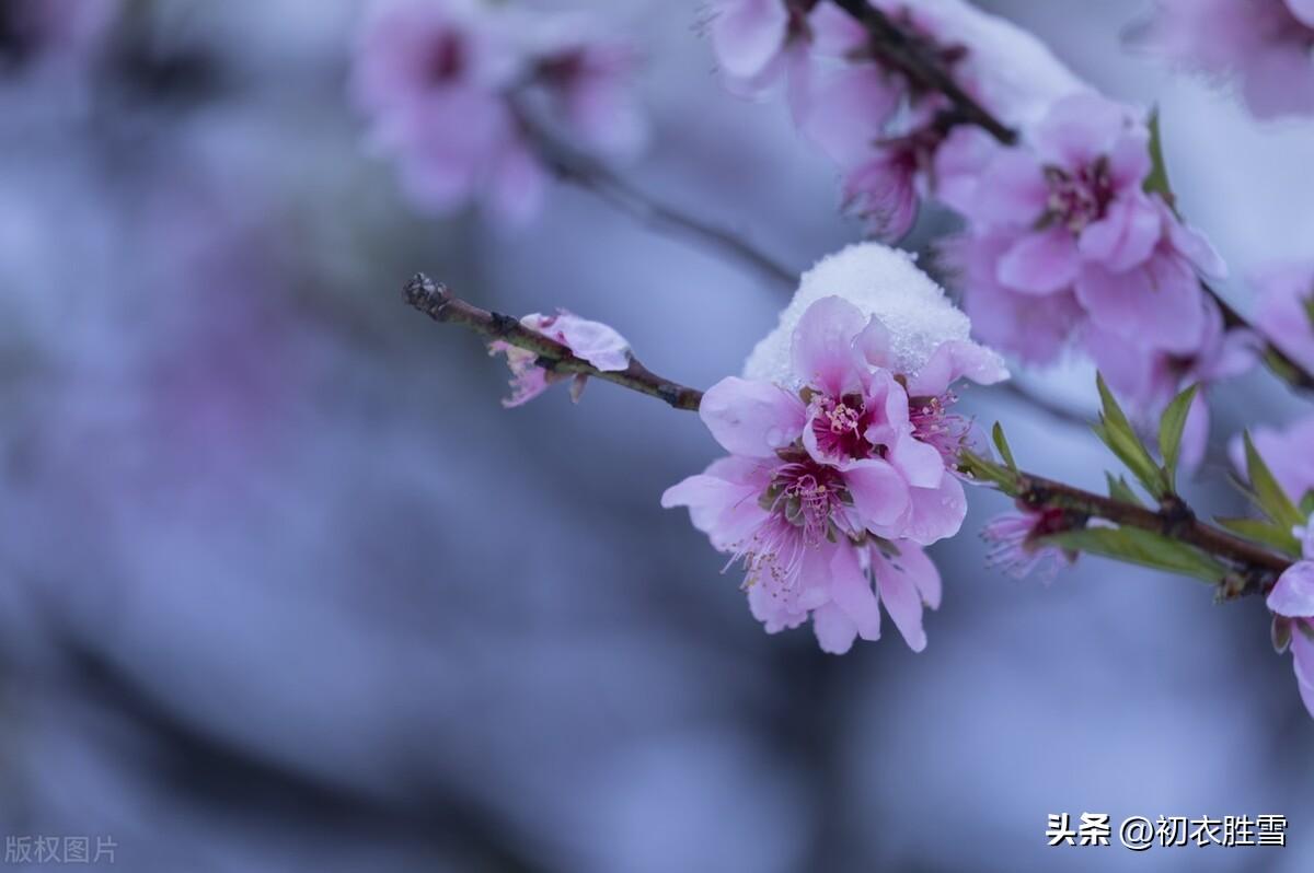 明日是新春，春风生鬓云（立春美词两首赏析）