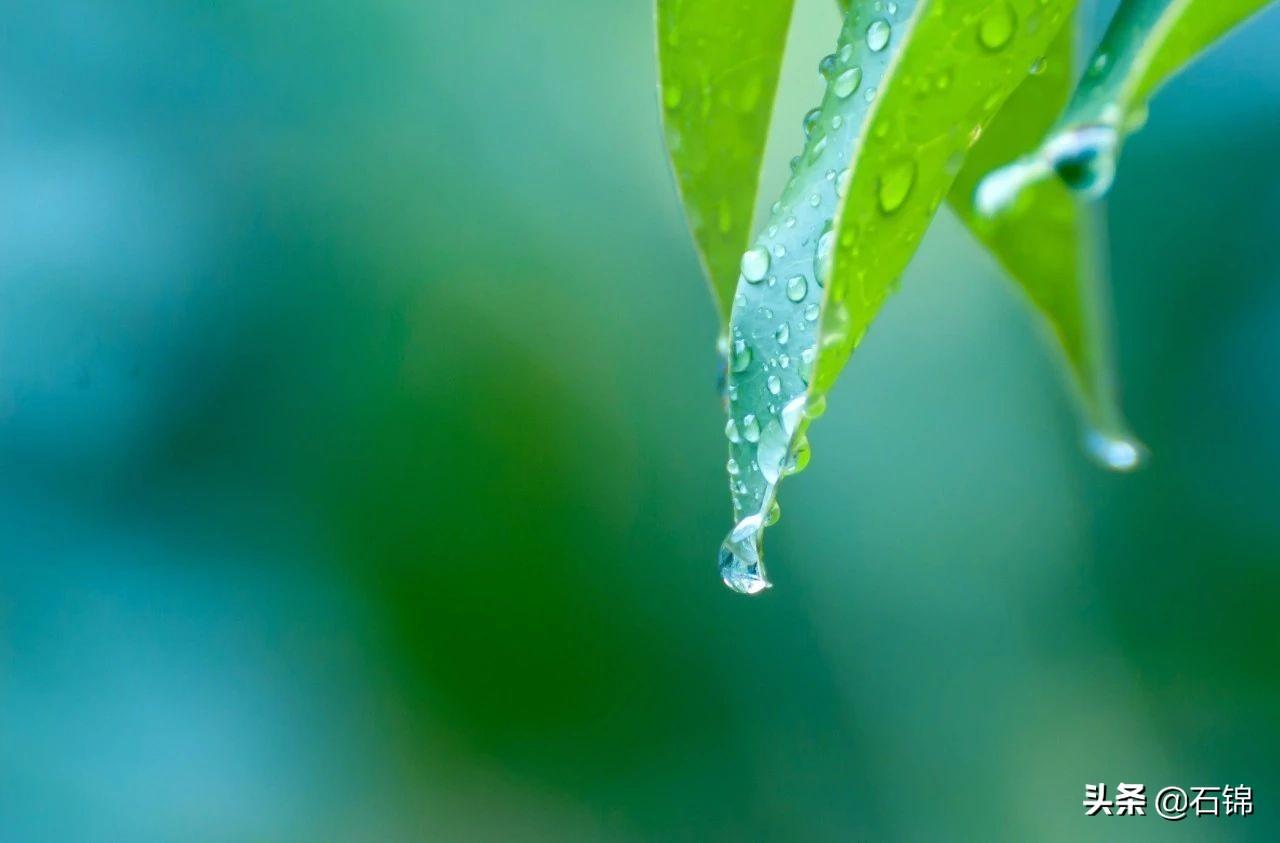 描写夏天的唯美古诗句（七首唯美夏雨诗词）