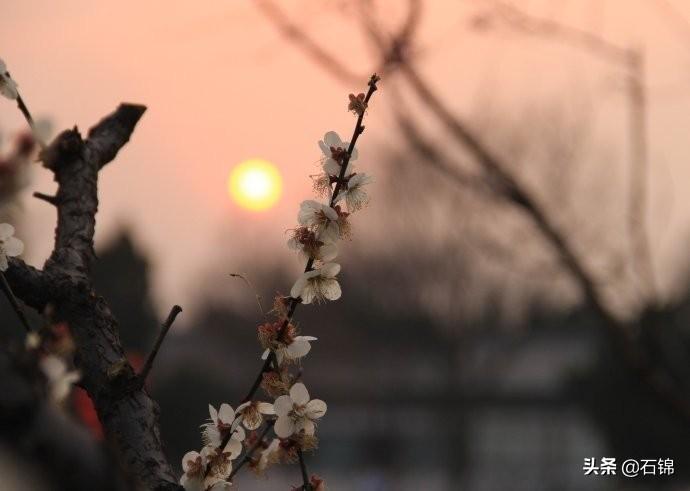 夕阳经典落日暮色的诗句（七首夕阳诗词）