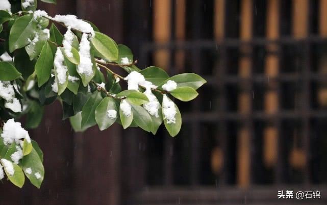 白雪却嫌春色晚，故穿庭树作飞花（六首唯美春雪诗词）