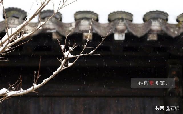 白雪却嫌春色晚，故穿庭树作飞花（六首唯美春雪诗词）