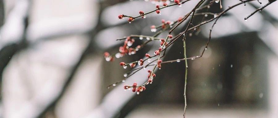 大学经典必读诗词（十首唯美写雪诗词）