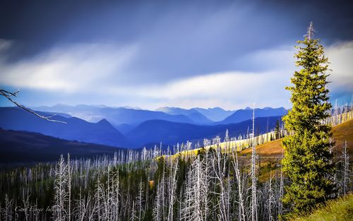 触动心灵的风景优秀作文（《别样的风景》）