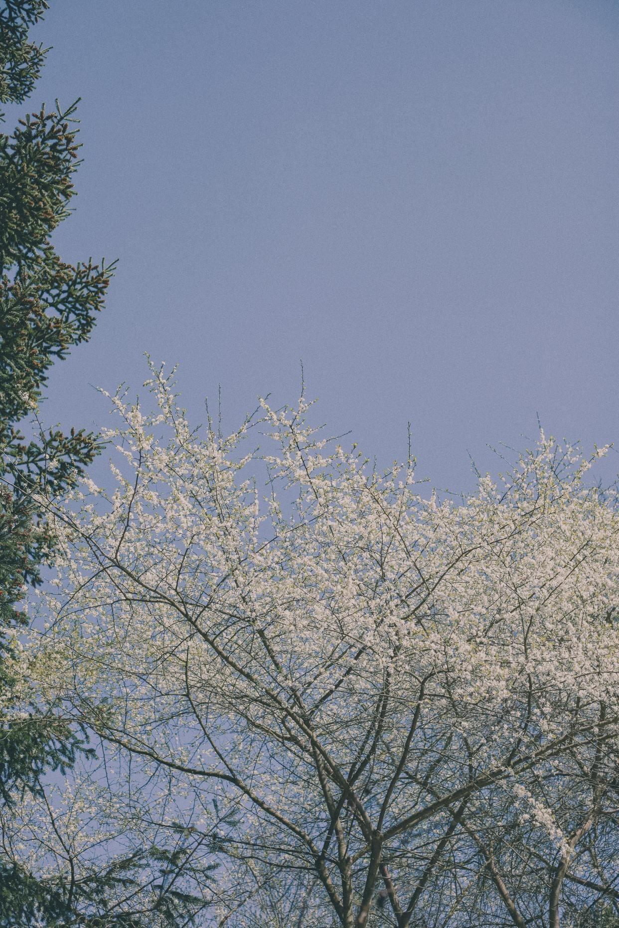 神仙古诗词摘抄（10首惊才绝艳的神仙诗词）