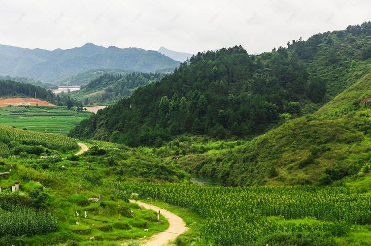 别样的四季风景作文（《别样的风景》）