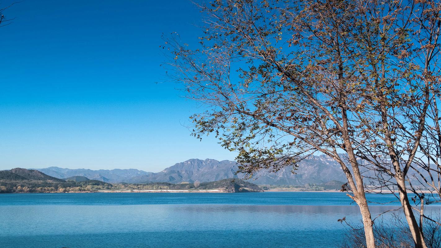 美丽的乡村风景作文（《别样的风景》）