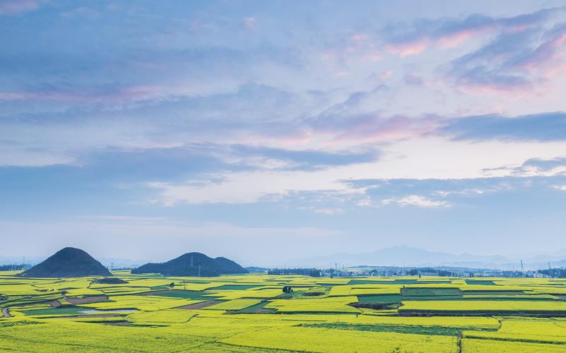 关于乡下的风景作文（《田园的风景》）