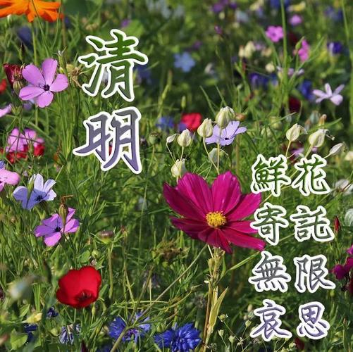 2021年清明节祝福语（清明祭扫，感恩回忆）