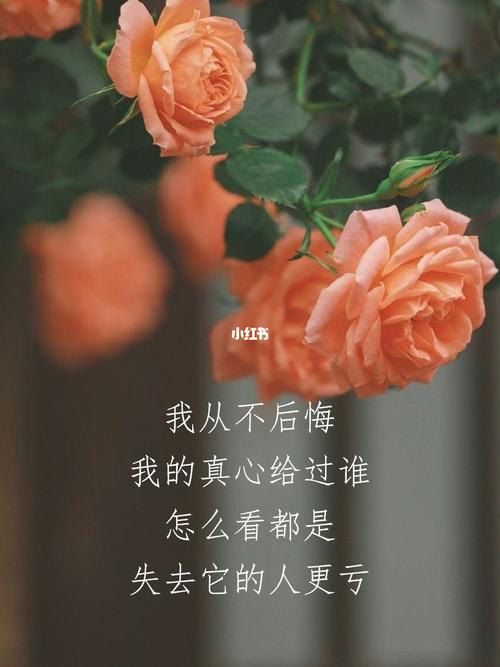 生活感情短句（生命中的琐事也是幸福）