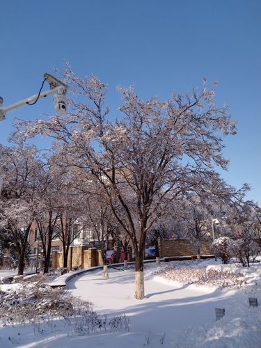 有关入冬第一场雪的朋友圈说说的短句文案（寒冬初雪，唯美情怀）