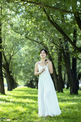 人生如梦的感慨人生句子（梦里花落知多少）