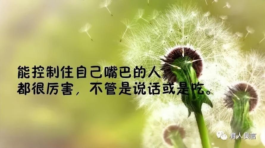 人生美好的经典短句（寻找人生中的美好）