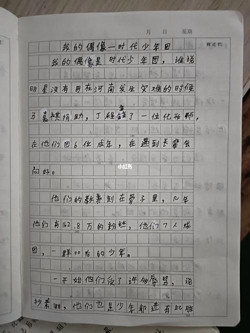 有关我的偶像的作文800字（《我的偶像带给我勇气和力量》）