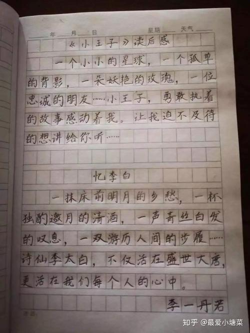 有关真情实感的作文800字（《真心话》）