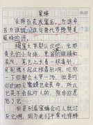 以借物喻人为话题的作文400字（《草木为师，教我成长》）