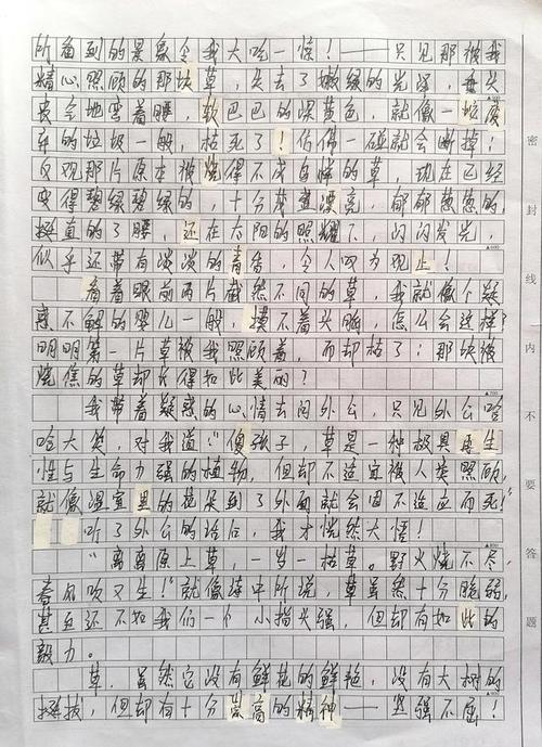 有关雨牵动我的情思的作文题目（《雨中情思》）