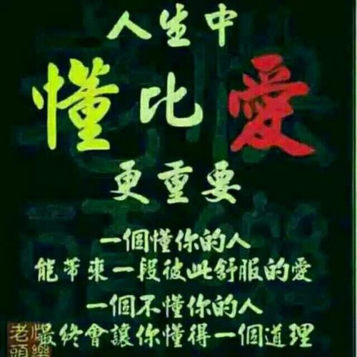 以懂你为话题的作文600字左右初二（《懂你》）