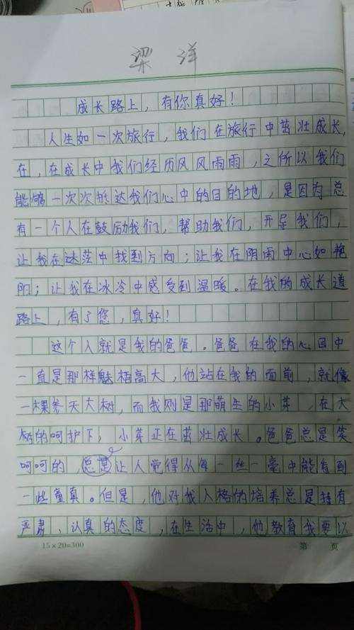 关于成长路上的故事作文（《一个勇敢面对挑战的少年》）