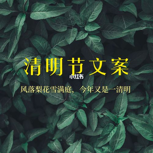 2021清明节寄语（清明节祝福语集锦）