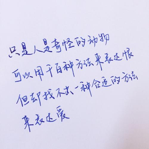 青春小说的经典句子摘抄（青春之美）