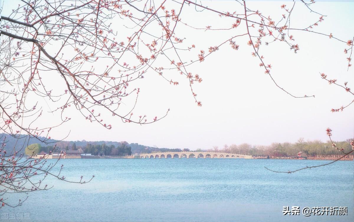 踏春郊游，赏花看月（优美的30句春天诗词）