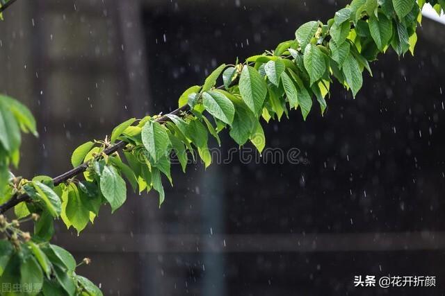 春天风景好的诗句（苏轼诗词里的春天）