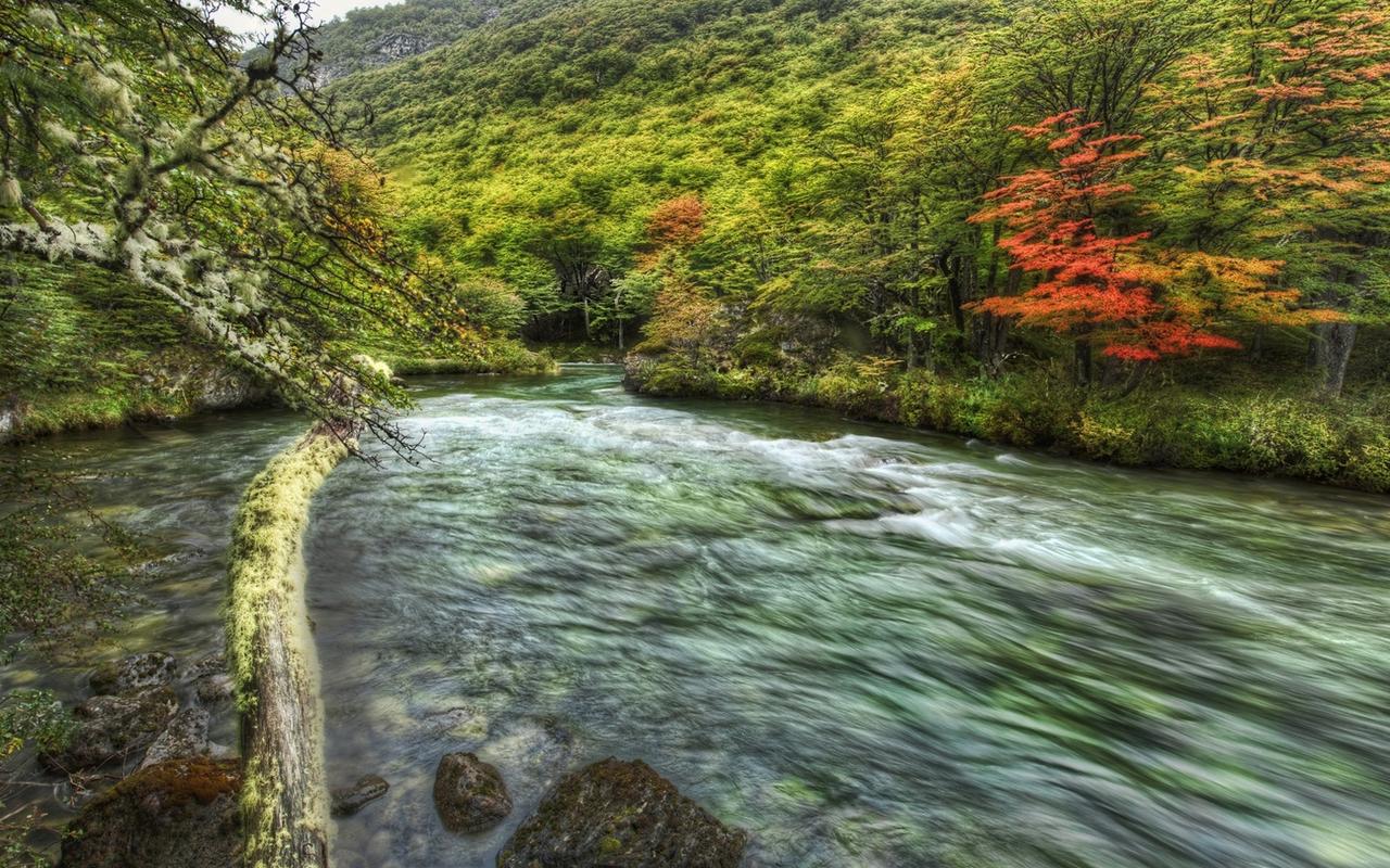 那些风景的游记作文（《亮丽的风景》）