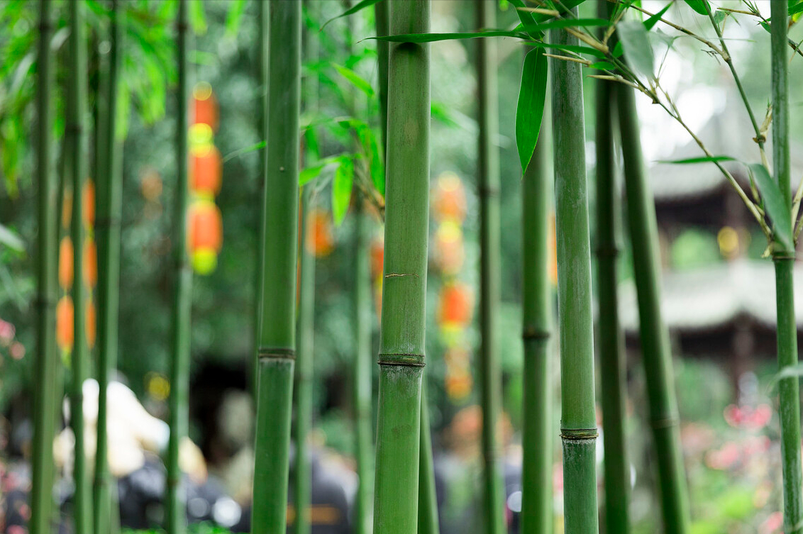 赞寺庙的七律诗（10首寺中诗词）