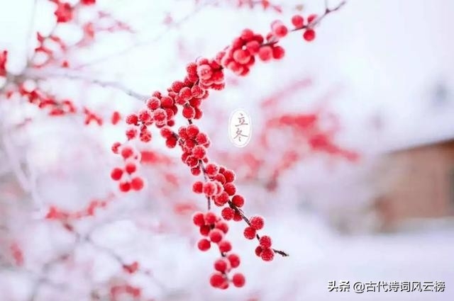 精选立冬优美诗句（细雨寒风，落木萧萧）