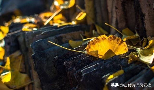 精选立冬优美诗句（细雨寒风，落木萧萧）