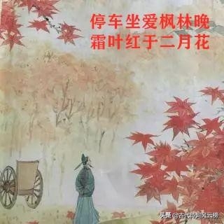 霜降经典诗词名句赏析（有关霜降的优美诗词）