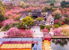 落花飞絮，春意阑珊（精选10首清明诗词）